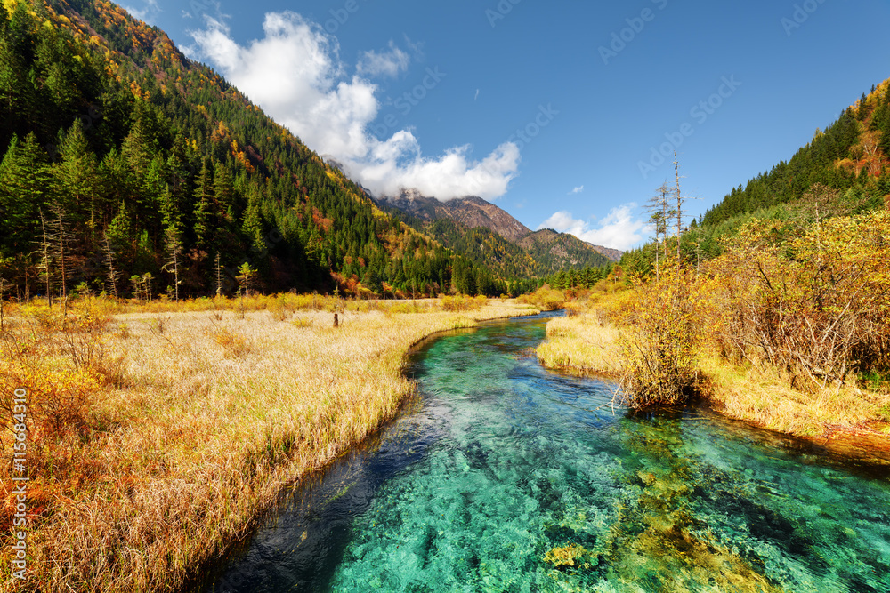 Scenic view of amazing river among fall fields and mountains
