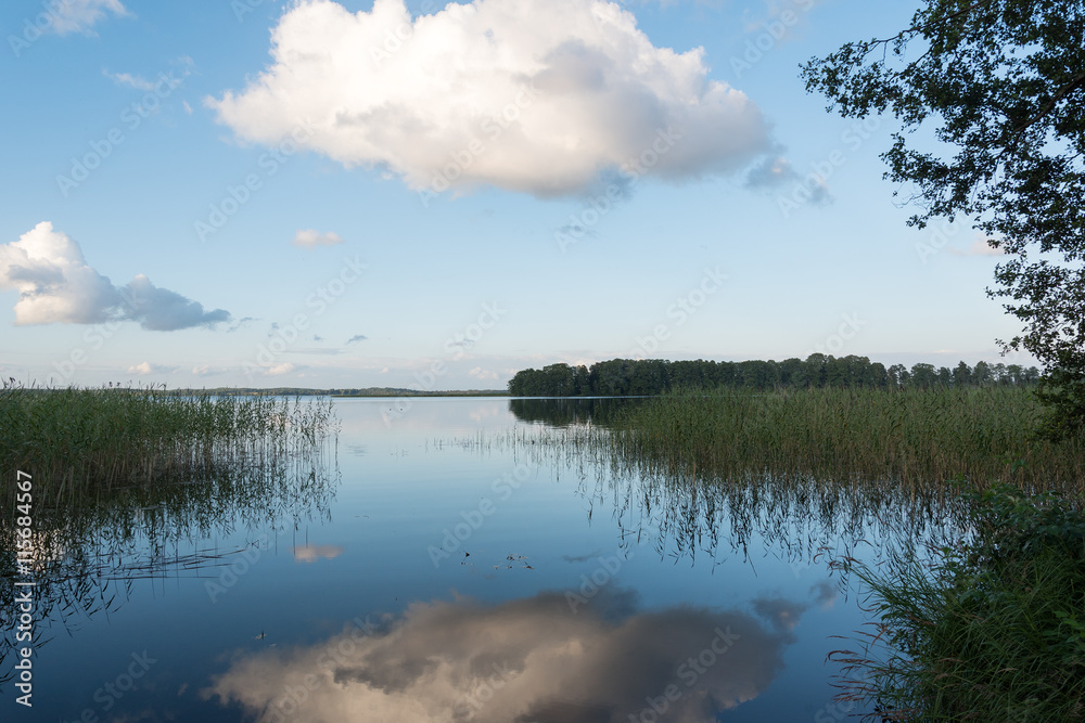 Fototapeta premium Aluksne lake, Latvia.