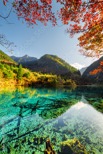 Scenic view of the Five Flower Lake among colorful fall woods