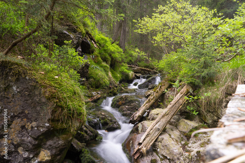 Fototapeta Naklejka Na Ścianę i Meble -  Bäche im Bayerischen Wald 