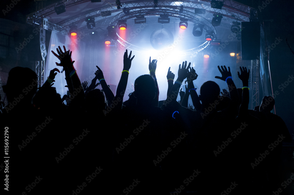 Crowd, Spectator, Music Festival, Popular Music Concert, Stage - Performance Space