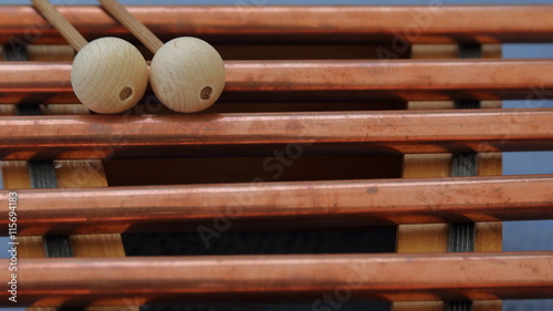 Fotografija vibraphone wood