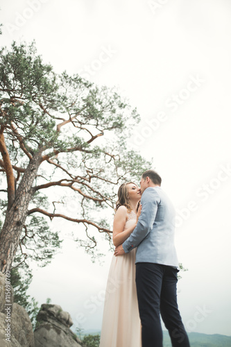 Gorgeous bride, groom kissing and hugging near the cliffs with stunning views © olegparylyak