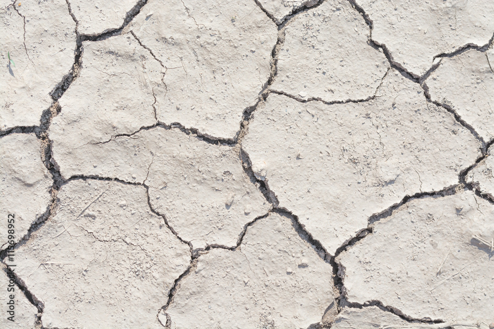 Fototapeta premium soil drought cracked texture