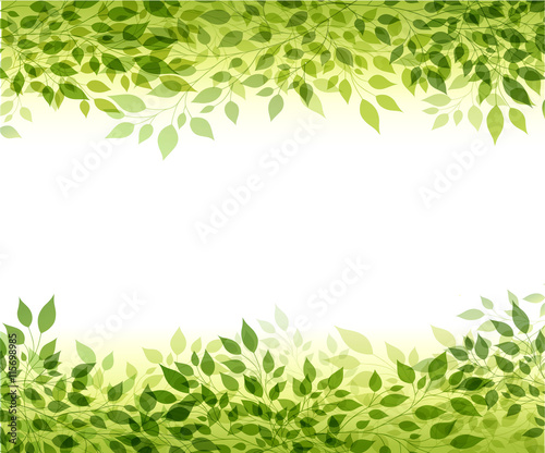 Green branches and leaves