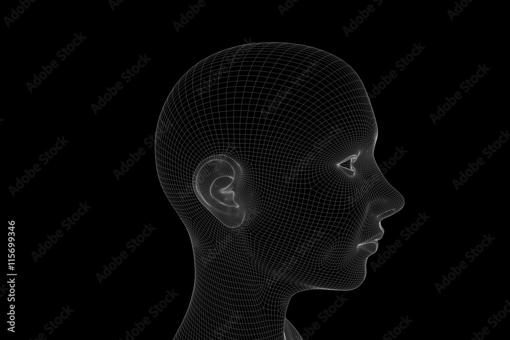 Obraz premium Female Human Wireframe Hologram in Motion. Nice 3D Rendering