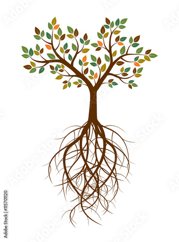Color Tree and Roots. Vector Illustration.