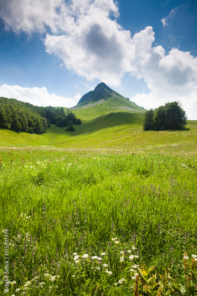Mountain peak and meadow on sunny day in summer.