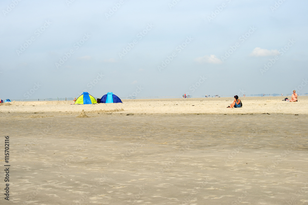 Strandmuschel in St. Peter-Ording Strandmuschel in St. Peter-Ording