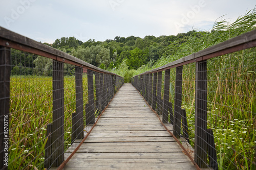 Fototapeta Naklejka Na Ścianę i Meble -  Wooden bridge over swamp