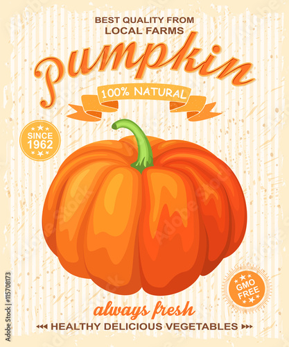 Vector farm poster with pumpkin