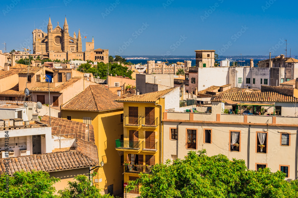 Panorama Majora Palma Spain with view to Cathedral La Seu