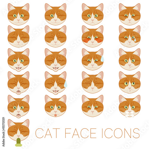 Set of cat faces