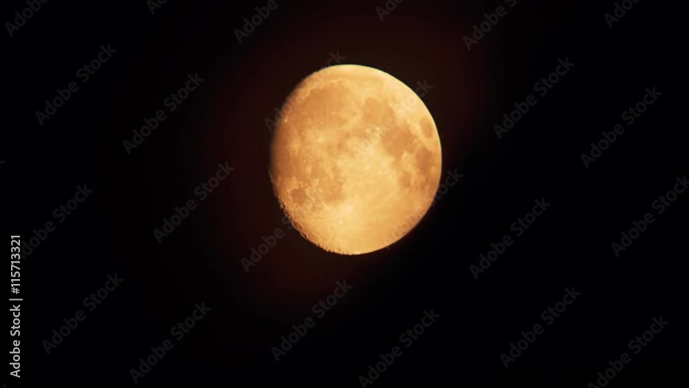 The leaves of trees swaying in the wind and close the visibility the full moon The leaves of trees swaying in the wind and close the visibility the full moon