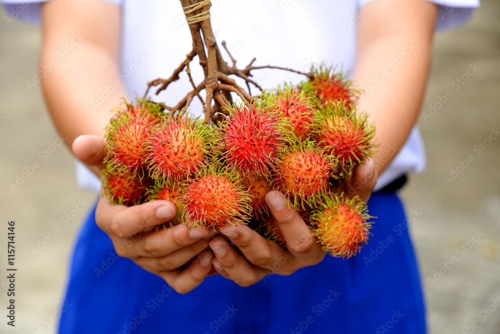 Foto Stock Delicious rambutan fruit on boy hands from market. Adobe Stock
