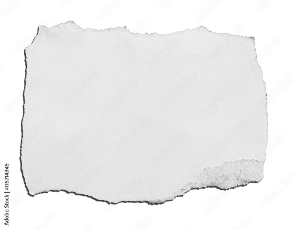 Torn paper, isolated on white background. Torn paper, isolated on white background.