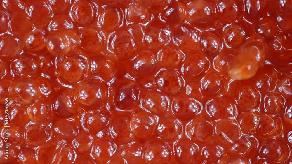 Red caviar background close up . Loop rotation. Front of the camera rotates plate with red caviar Red caviar background close up . Loop rotation. Front of the camera rotates plate with red caviar
