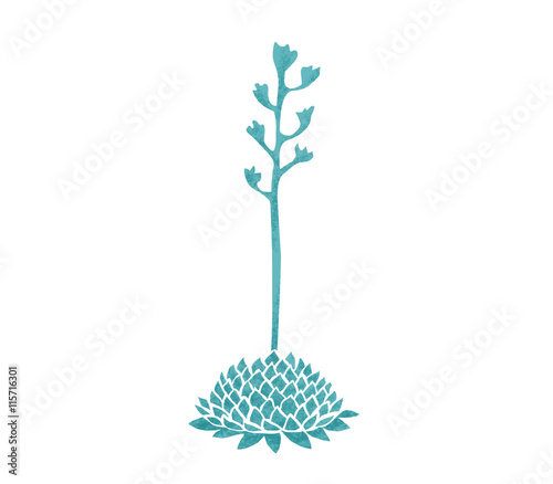 仏教植物