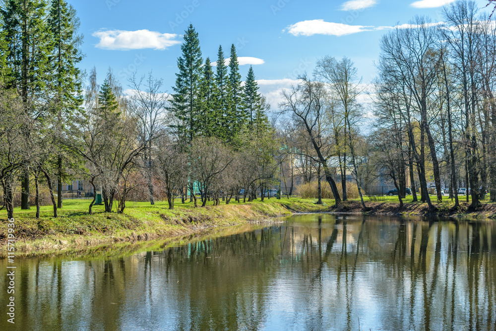  the nature of the lower Park of Petergof