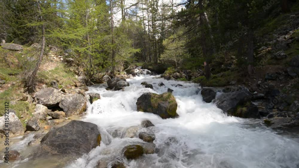 Wild stream flowing in idyllic uncontaminated environment and lush green larch woodland on the Italian Alps. Wild stream flowing in idyllic uncontaminated environment and lush green larch woodland on the Italian Alps.