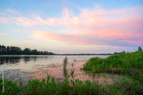 Pink clouds over a lake at sunset .