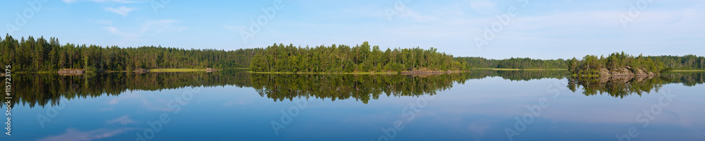 summer landscape in the forest lake
