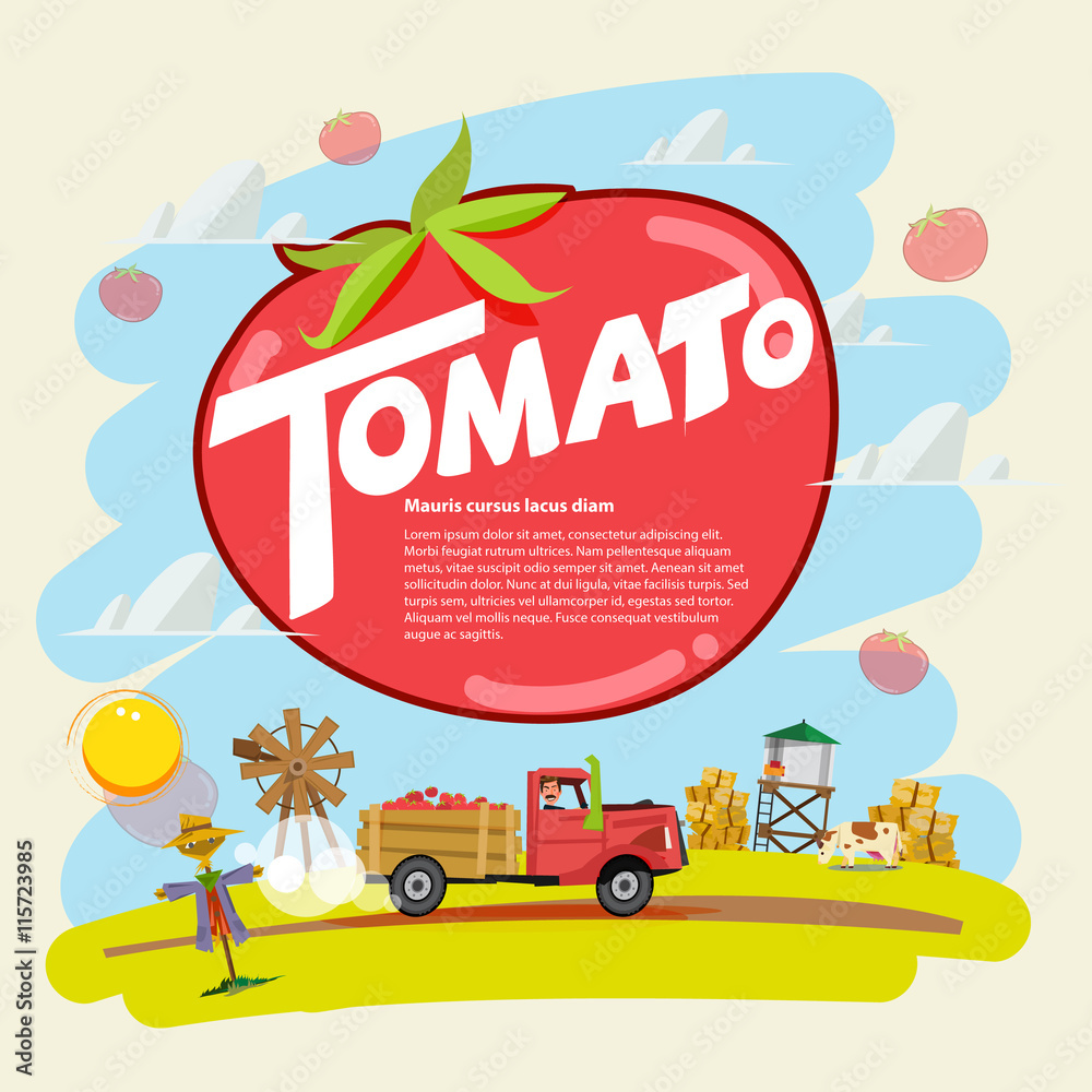 tomato concept. farm truck with tomato run across farm scence. farmer guy. Agricultural. presentation concept. typographic - vector illustration


