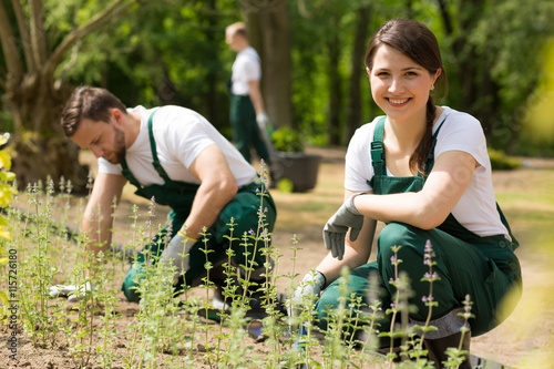 Valokuva Three gardeners at work