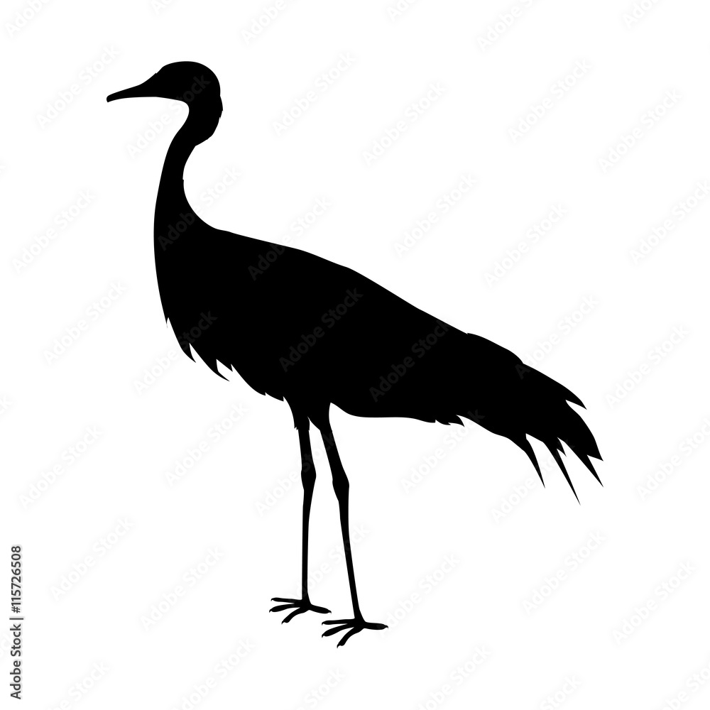 Naklejka premium Demoiselle Crane Flat Design Vector Illustration