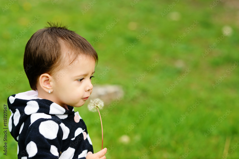 toddler girl  with dandelion