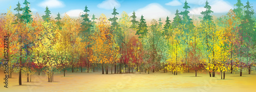 Vector autumn forest background.