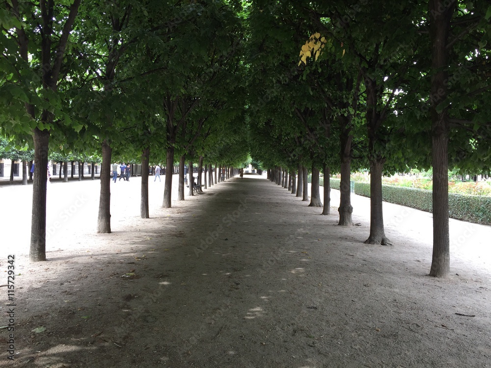 jardin du Palais Royal Paris France