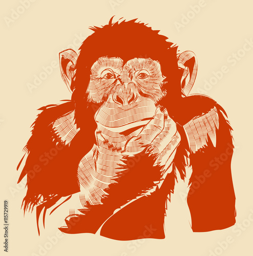 The graphic image of a monkey.Vector eps 10