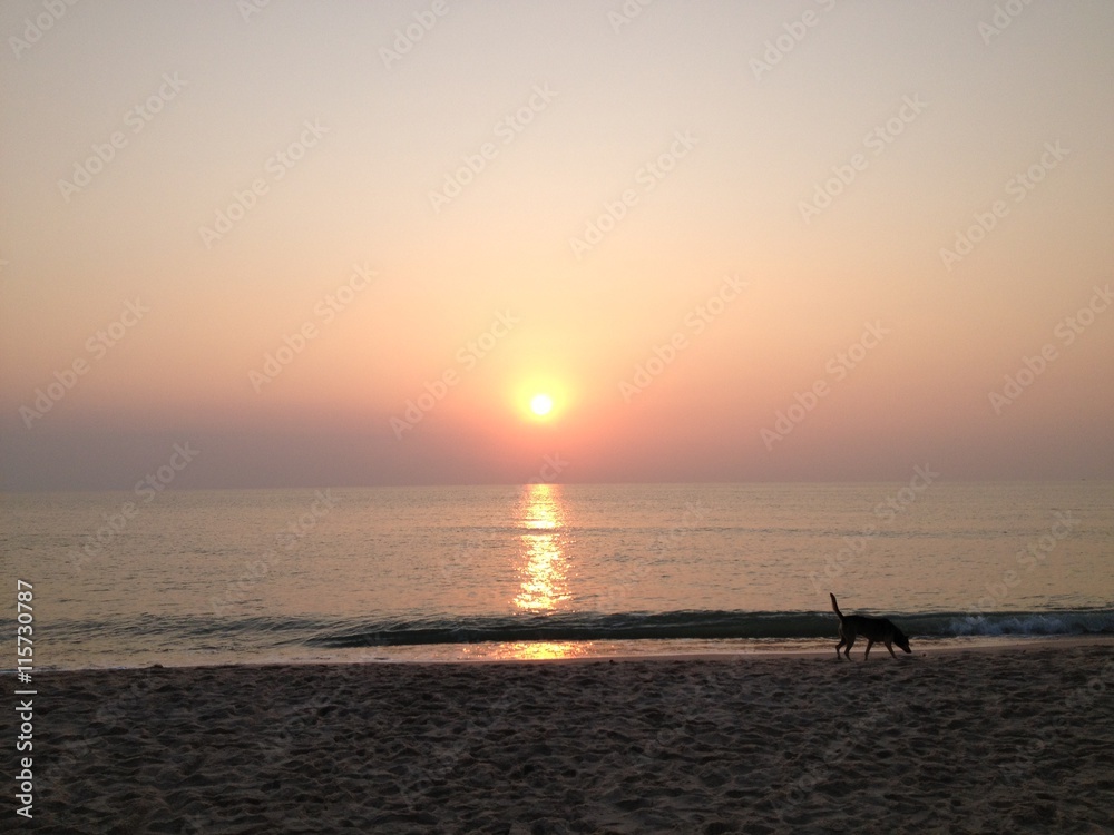 sunset with dog