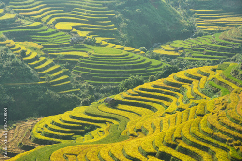 Rice terrace on during sunset ,Northeast region of Vietnam