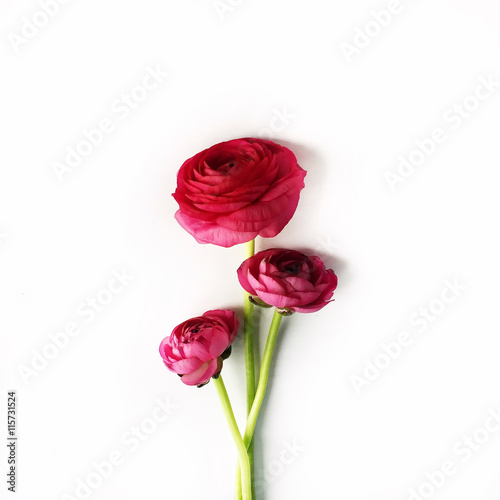 Photo red roses or ranunculus isolated on white background