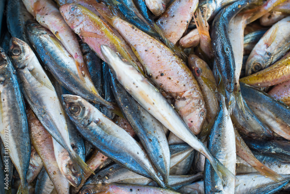 Fresh small fish - mullet and smelt - marinated with salt and pepper for grill, sea fishing theme, food background Fresh small fish - mullet and smelt - marinated with salt and pepper for grill, sea fishing theme, food background