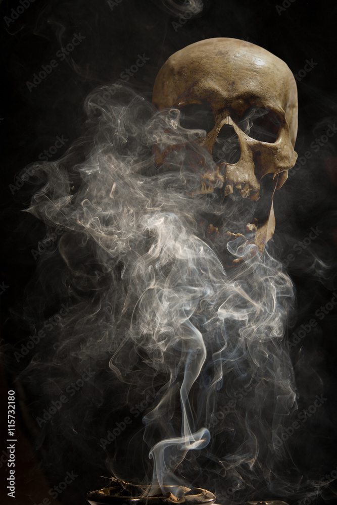 smoke cigars on the background of a human skull smoke cigars on the background of a human skull