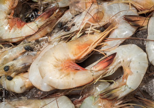 Raw white shrimps on ice in seafood market