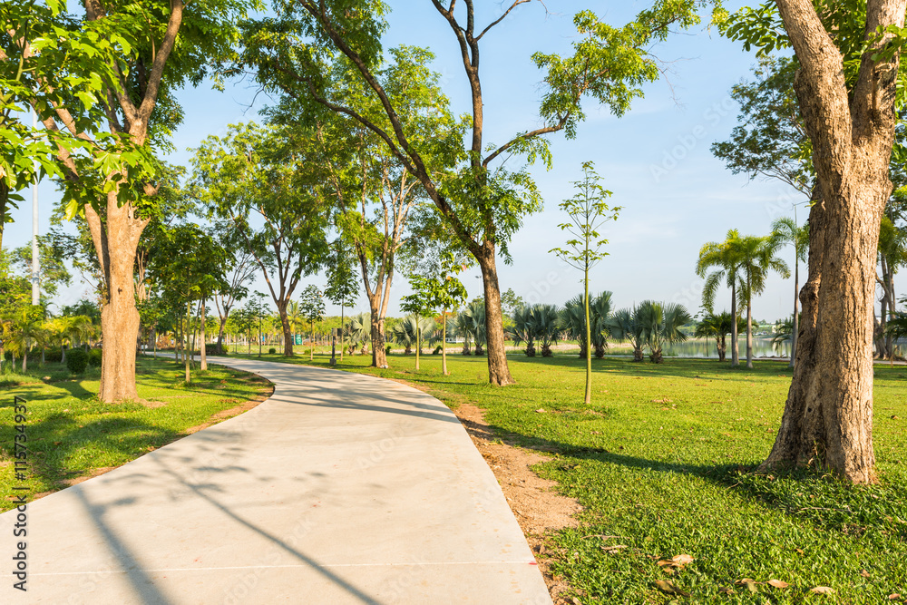Concrete road at the park for jogging