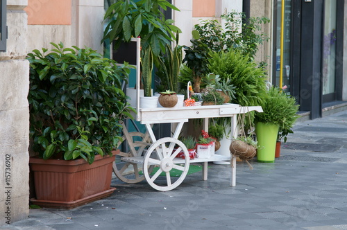il carrello bianco del fioraio