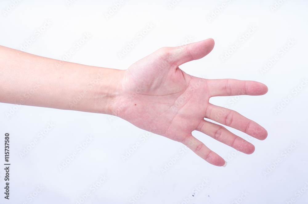 Male hand gesture. Opposite side of palm isolated on white Male hand gesture. Opposite side of palm isolated on white