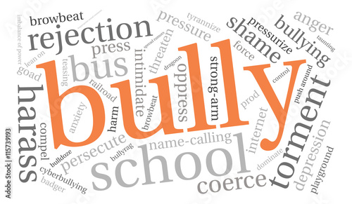 Bully word cloud on a white background. 