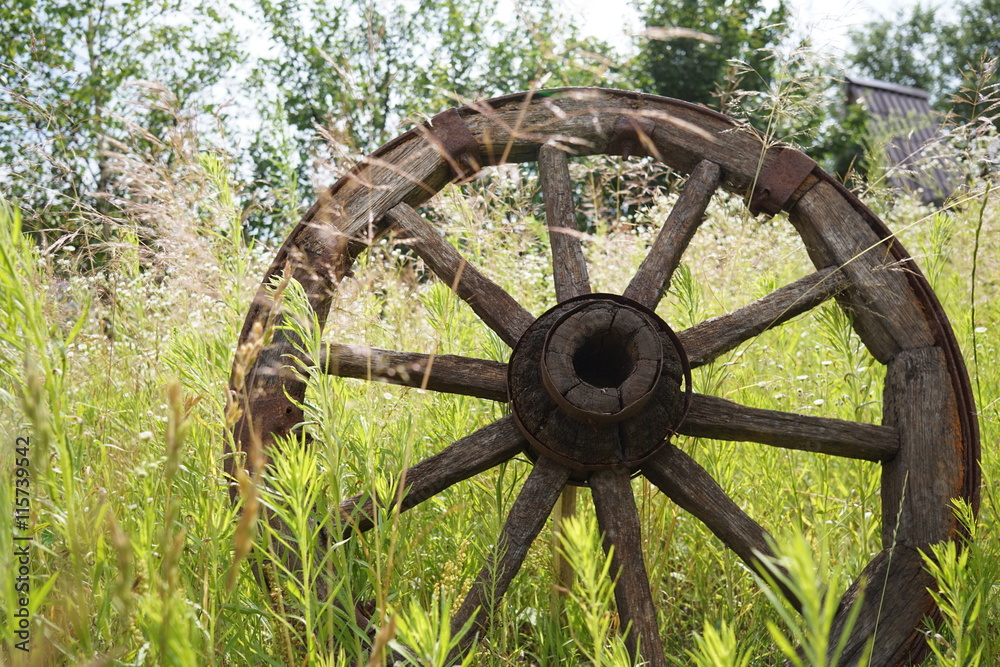 wooden wheel on a background of green grass wooden wheel on a background of green grass