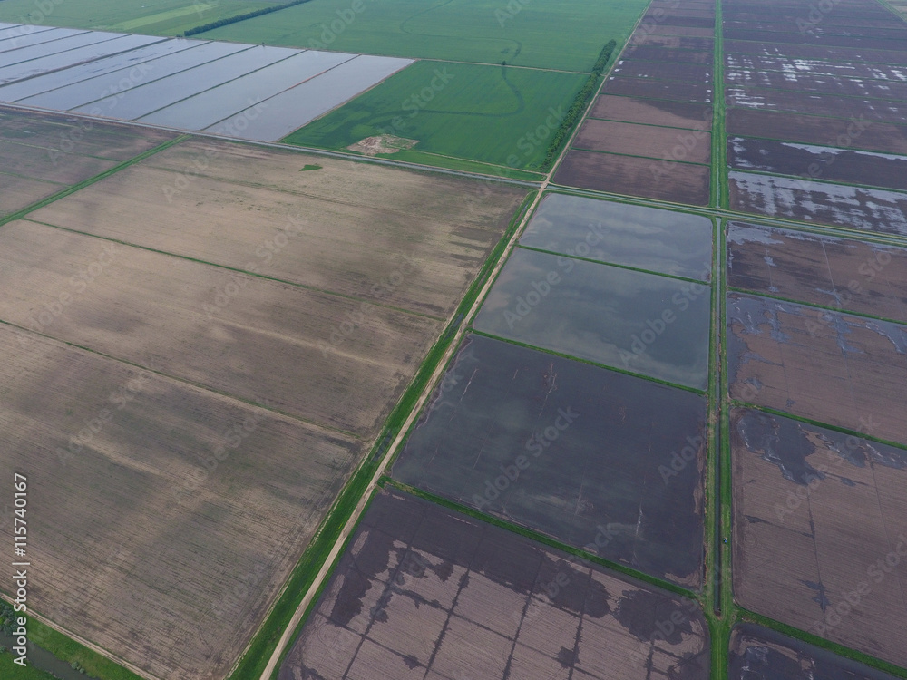 Flooded rice paddies. Agronomic methods of growing rice in the fields. Flooding the fields with water in which rice sown. View from above.