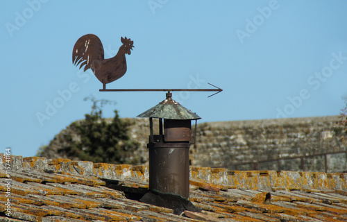 Obraz na płótnie Wetterhahn am Kamin w salonie