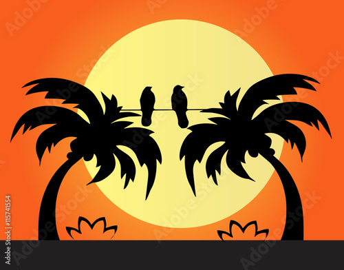 Palm beach scene