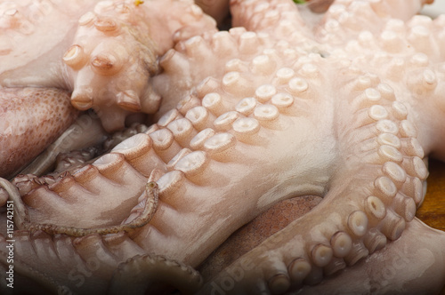 fresh octopus with potatoes and parsley on wood