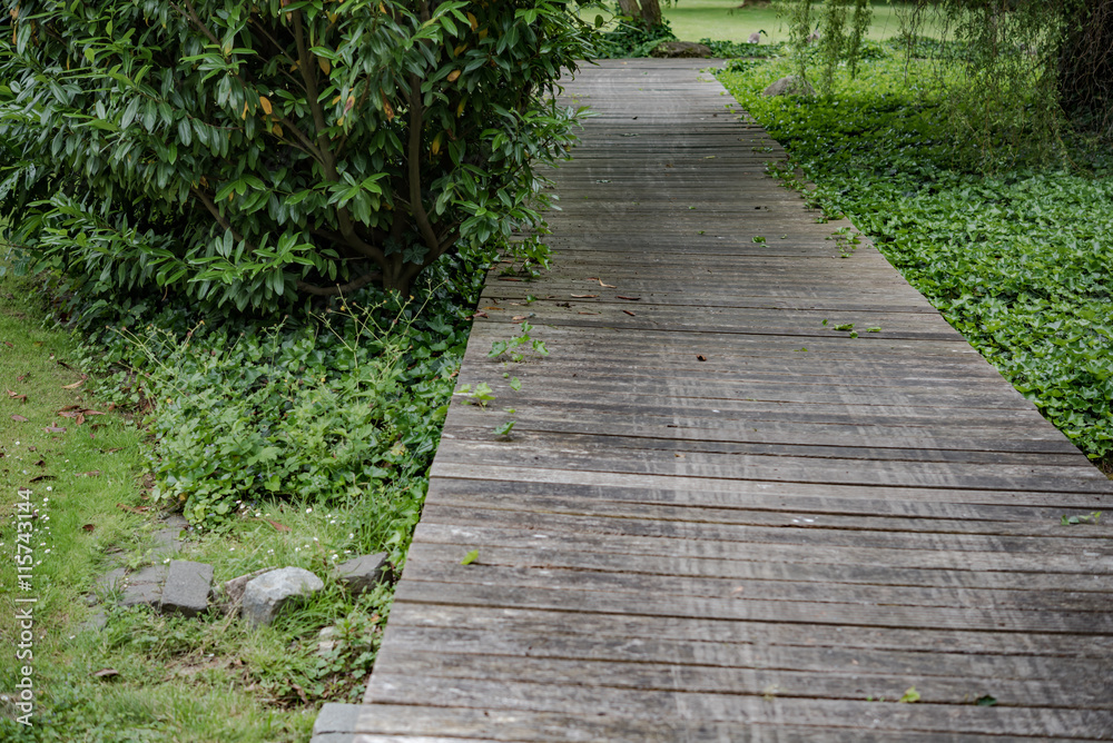 Wooden bridge in a forest along the trekking path