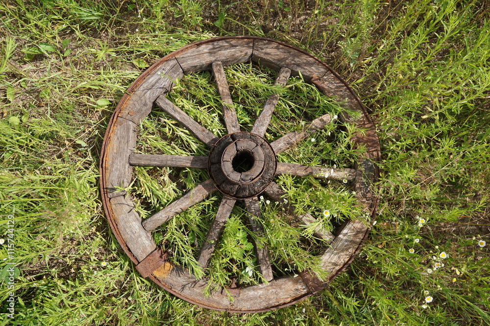 wooden wheel on a background of green grass wooden wheel on a background of green grass